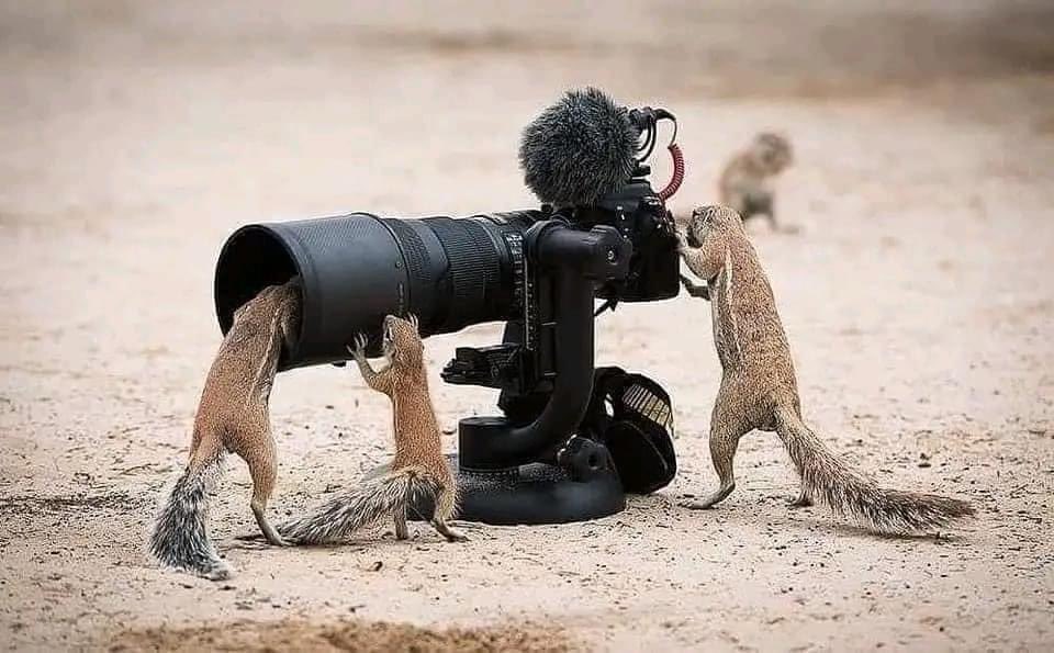 CMoward's tweet photo. @_TinotendaKeith @mukuru101010 Ukuwanza maFilm, anywhere it’s fine. There are mythical and you can’t prove and if they are things Where are they now, how do you connect how. You said they had wc means they no longer have https://t.co/yyMREhz5eR
