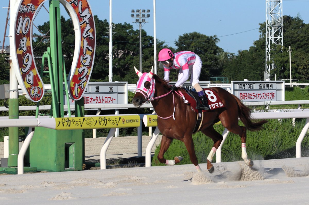 DameMame -だめまめ- (@Dam2658OSA) / X