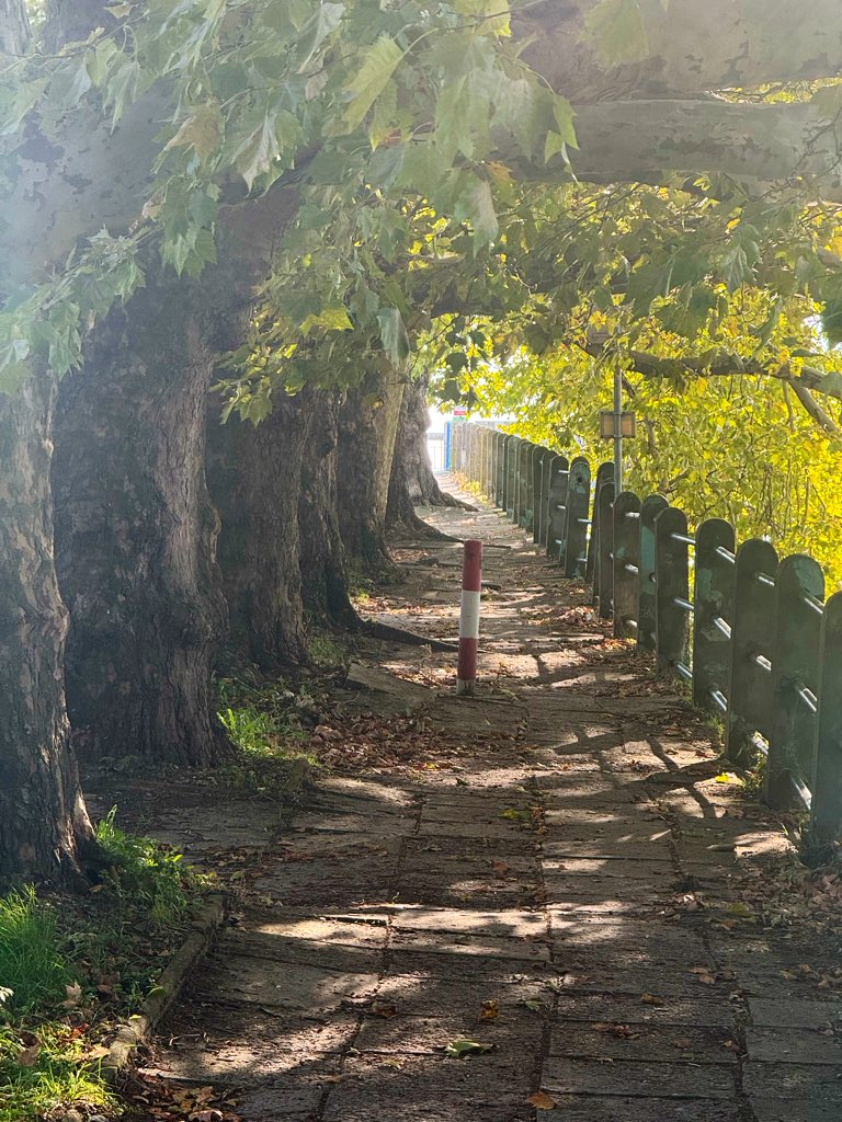 Môgge 😀