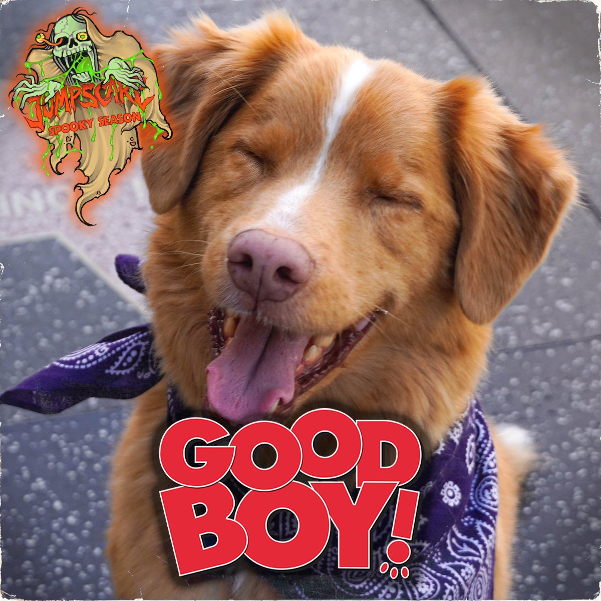 L’épisode de la semaine est dispo !

Depuis plusieurs mois, GOOD BOY séduit les festivaliers outre-Atlantique. Un film de maison hantée dont le vrai héros est… un chien !

Le film sort cette semaine en salle grâce à <a href="/shadowzvod/">Shadowz</a>, l'occasion de vous dire ce qu'on en pense ! 🐕