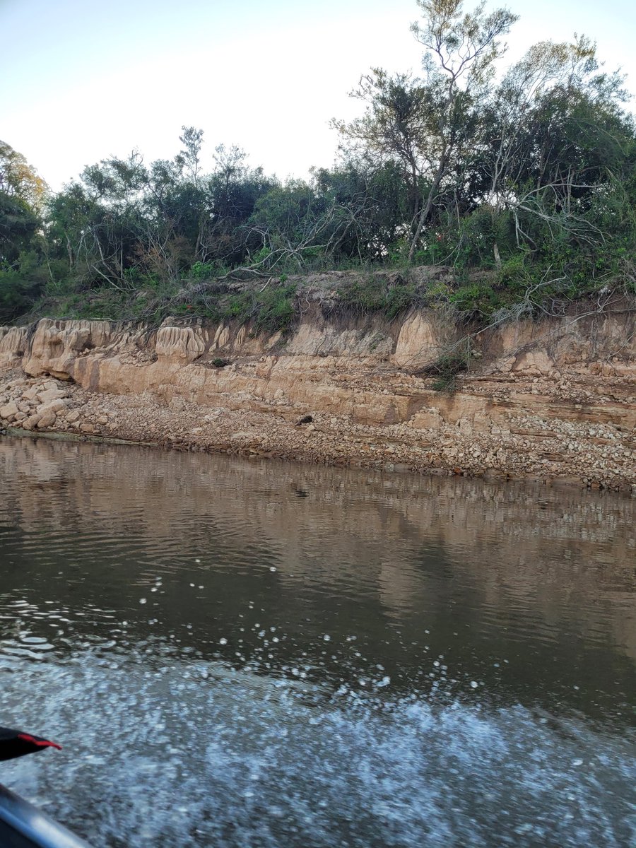 Buen día Orientales; por Melo 8 grados .  Hoy arrancamos la cobertura de la expo Melo 2025  ,hasta el domingo12 :  TODO EL CAMPO EN LA RADIO ¡ VAMOS!