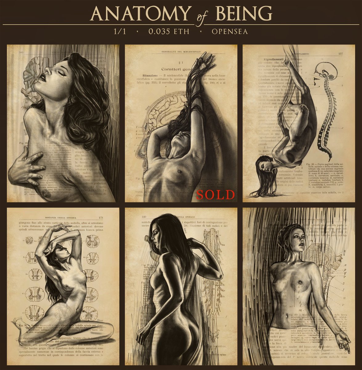 TheDarkRayne's tweet image. This collection is for my love of classical art &amp;amp; figure drawings. I feel deeply inspired by artists like Da Vinci who did both science &amp;amp; art brilliantly.

🔗🔻