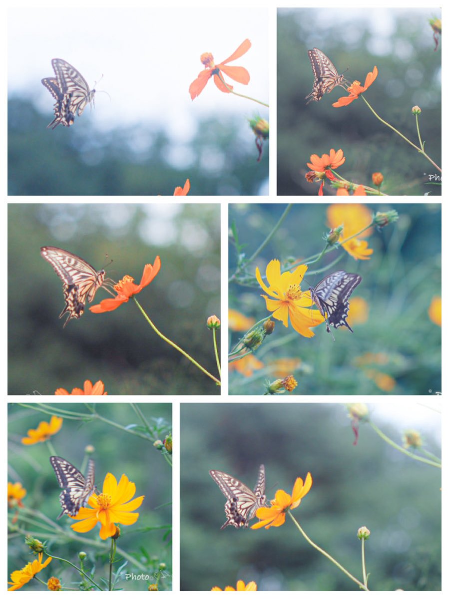 takumaページ やこ𓅪𓈒𓂃𓈒𓏸︎︎︎︎週末低浮上型… on X