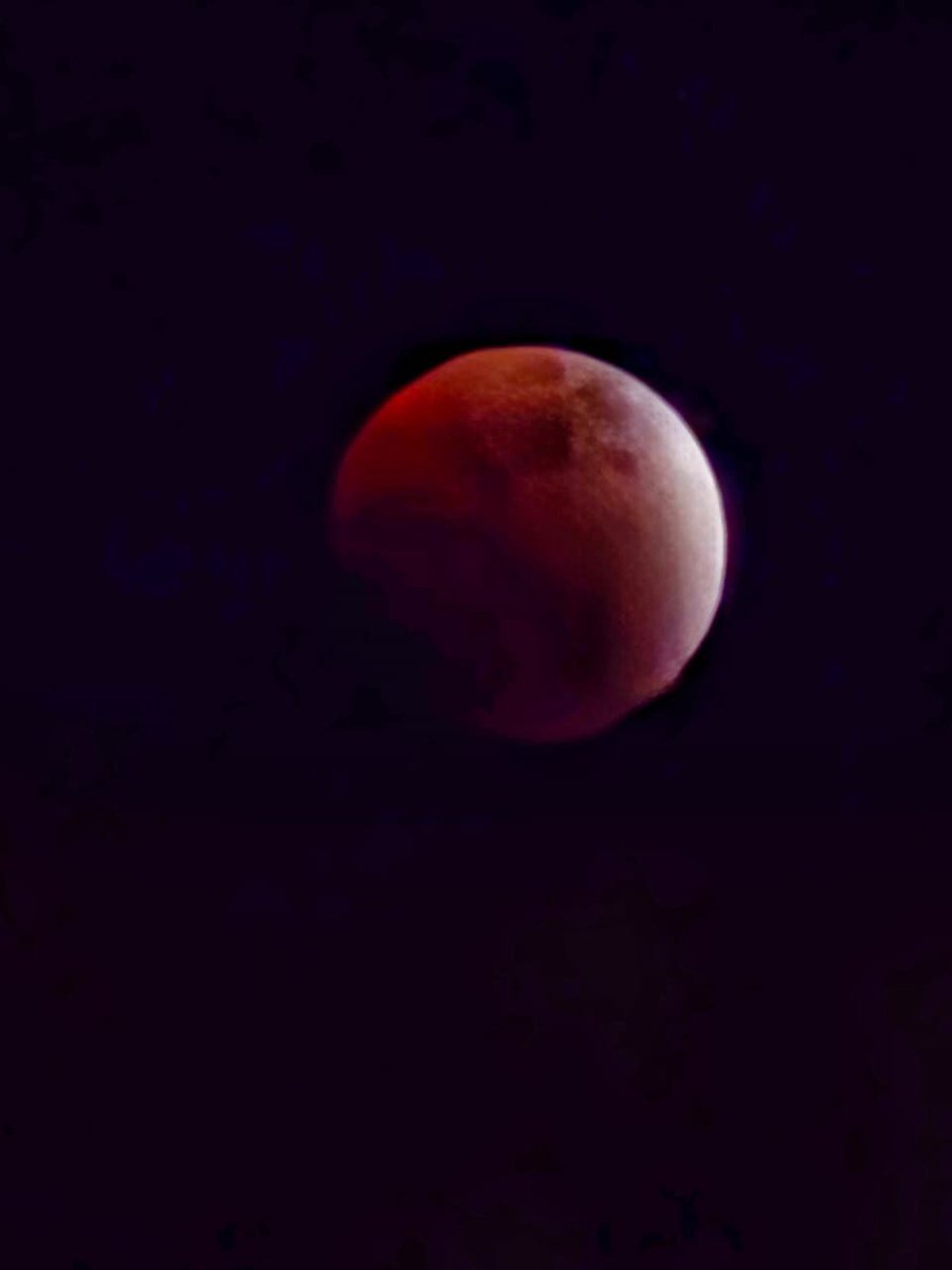 Sebi Reddio 「 🖐️ ✦ 🌏 」Meshchain.Ai tweet media