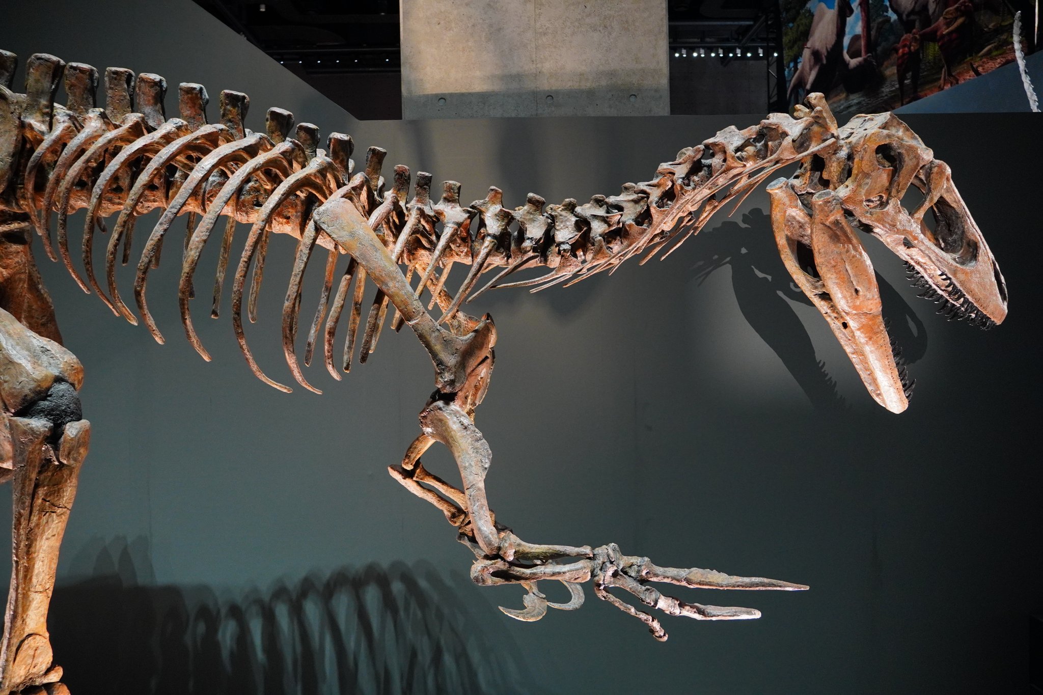 恐竜 私が監修している安斉俊さん @anzaishun のSNS向け恐竜漫画