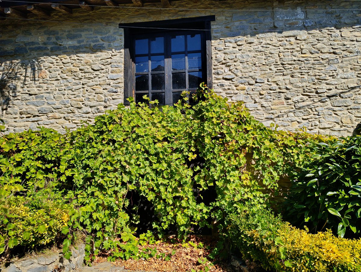 erikrsalazar's tweet image. #Letona, #Araba. 🏡