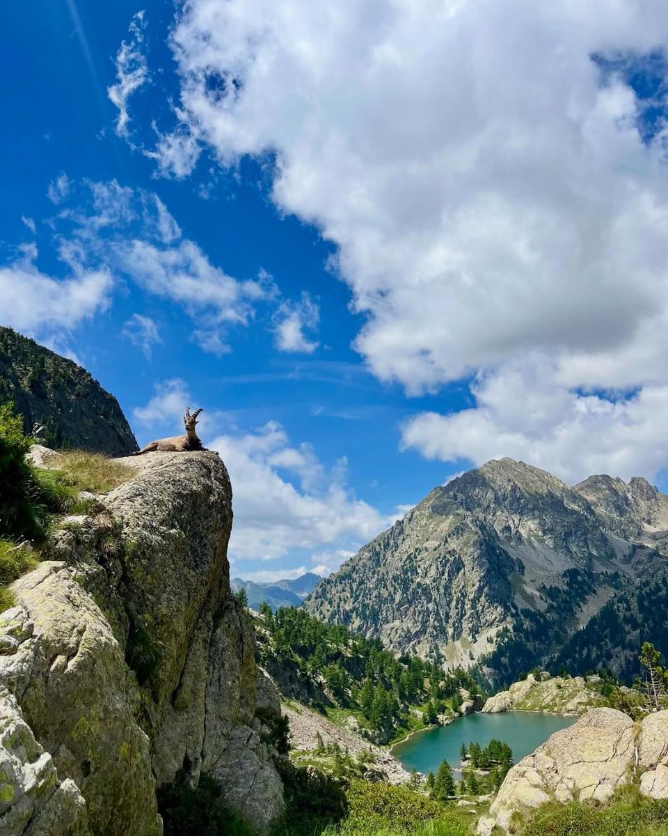 Partagez vos plus beaux clichés du Département avec #AlpesMaritimes

L’équipe du Département vous souhaite une belle journée ☀

📷 @annegaelle_c / Lac de Trécolpas

<a href="/VisitCotedazur/">Côte d'Azur France</a>