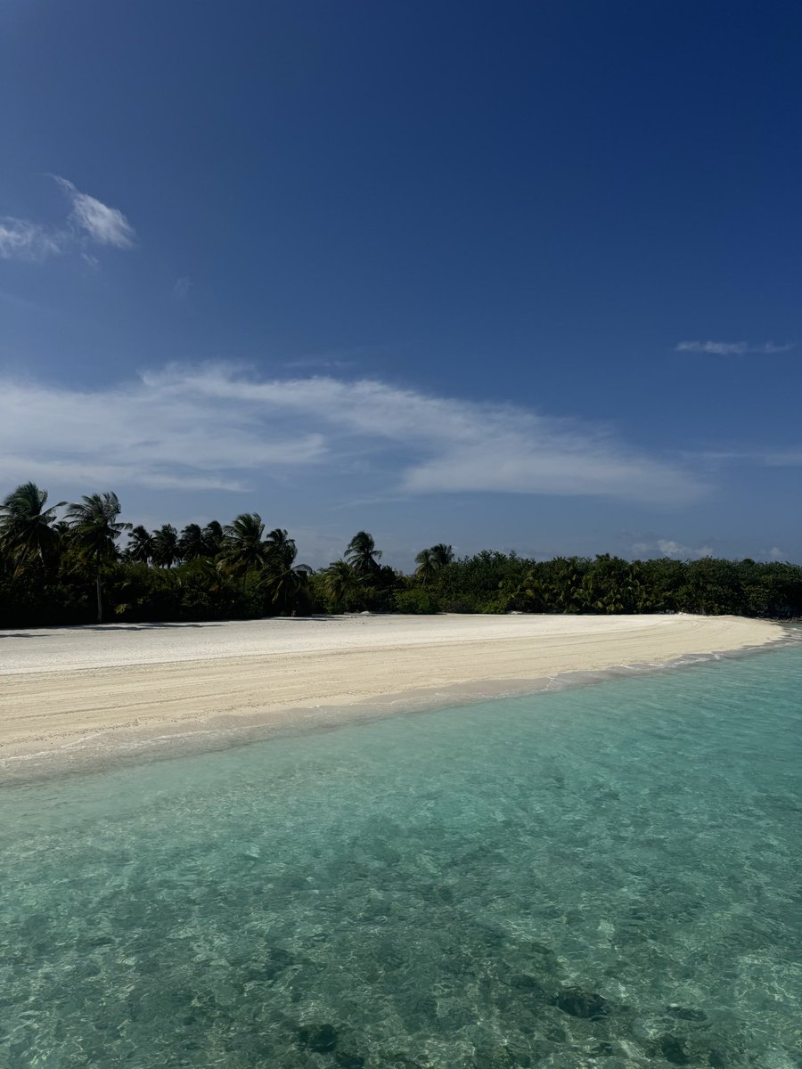 Maldive and #bsc season.

What can you wish more ? <a href="/cz_binance/">CZ 🔶 BNB</a>