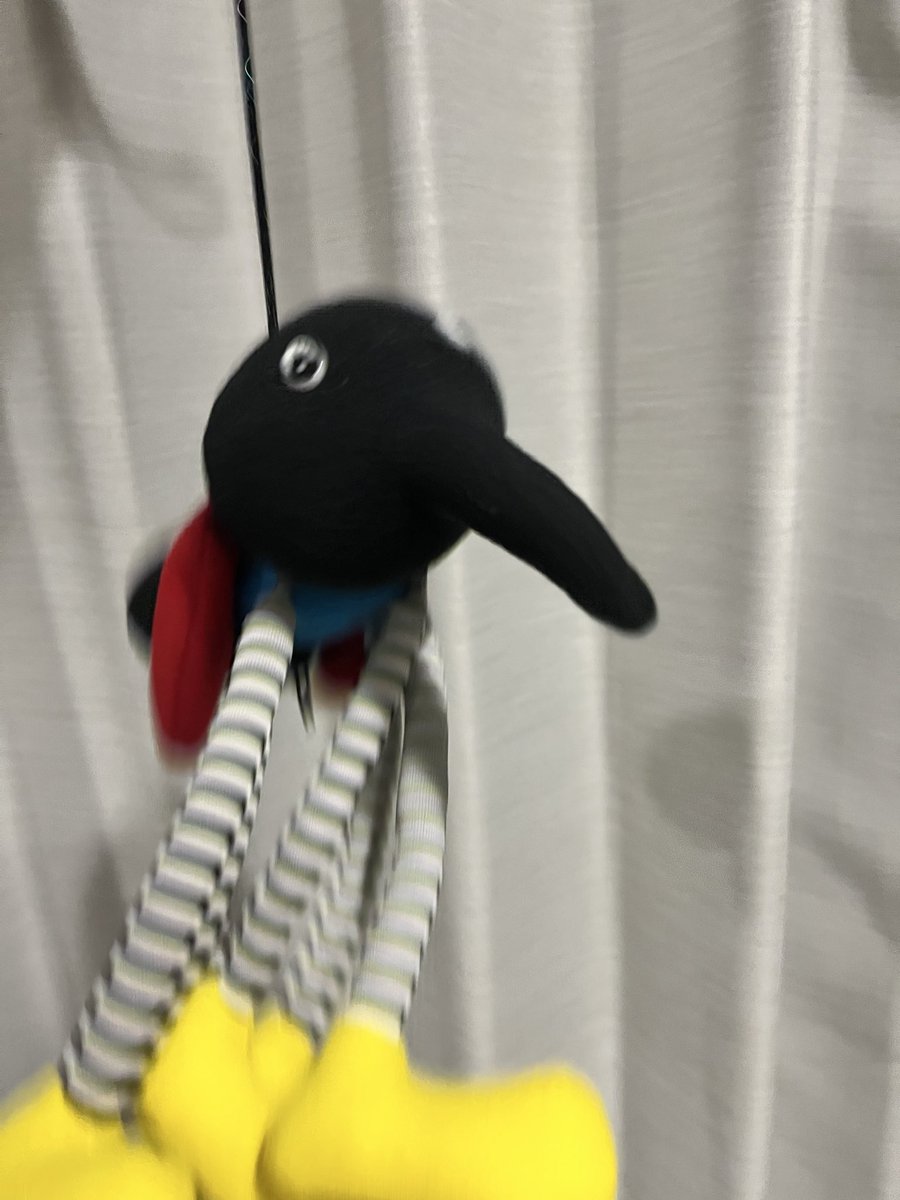 Totem_pow's tweet image. どどいた　ヒモでビョンビョンできる