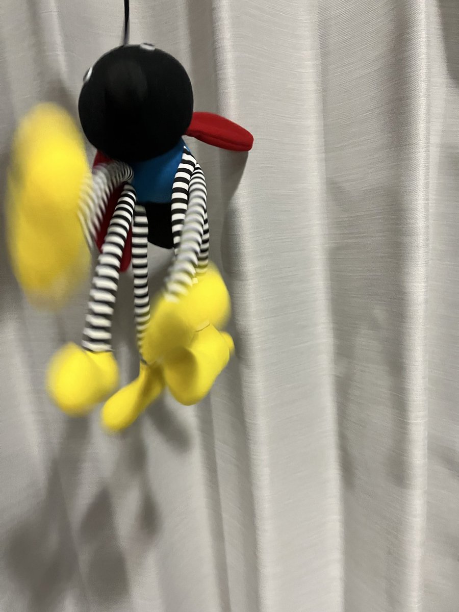 Totem_pow's tweet image. どどいた　ヒモでビョンビョンできる