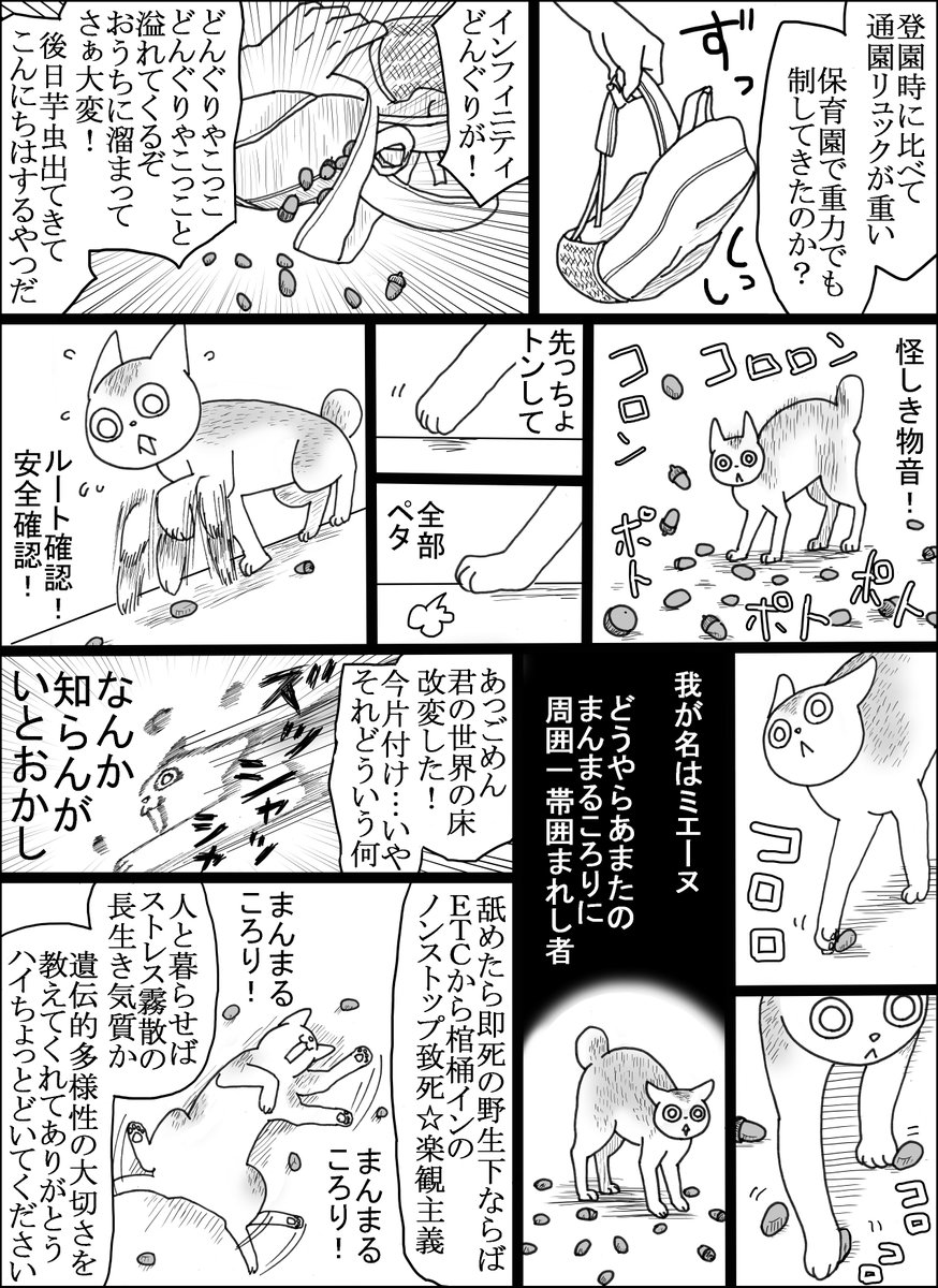 まんまるころりの安楽浄土