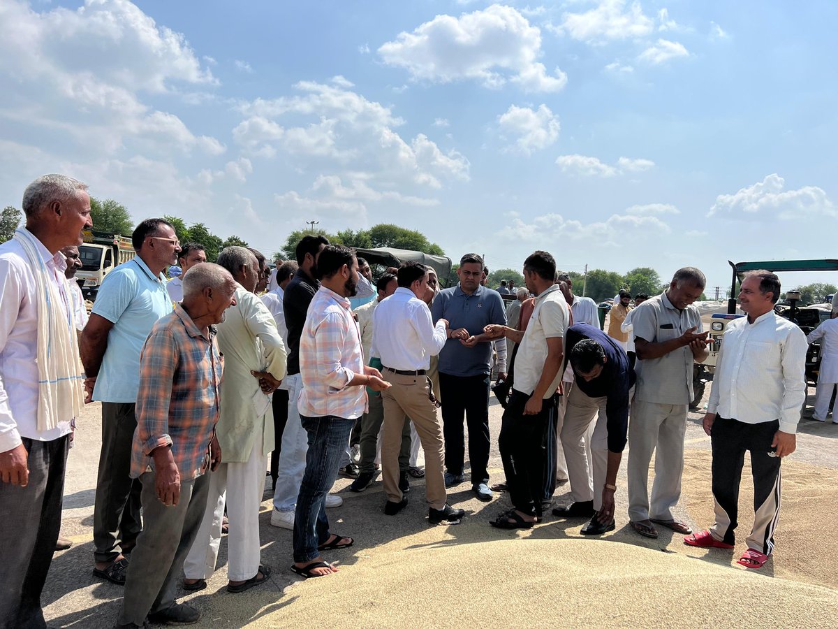 kataria_nishit's tweet image. आज पटौदी जटौली अनाज मंडी में हरियाणा प्रदेश कांग्रेस कमेटी के अध्यक्ष राव नरेंद्र सिंह जी के साथ जाकर किसानों की समस्याओं का जायज़ा लिया।

किसानों ने बताया कि सरकारी खरीद शुरू न होने के कारण बाजरा औने-पौने दामों पर बिक रहा है।

एमएसपी (MSP) 2775 रुपये तय है, लेकिन प्राइवेट आढ़ती…