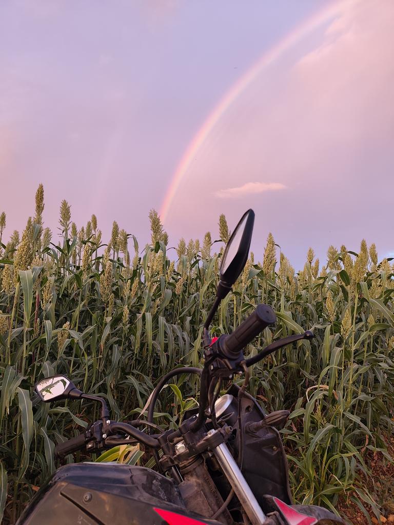 وللحرية الحمراء باب
بكل يد مضرجة يدق

يارب تمم يارب