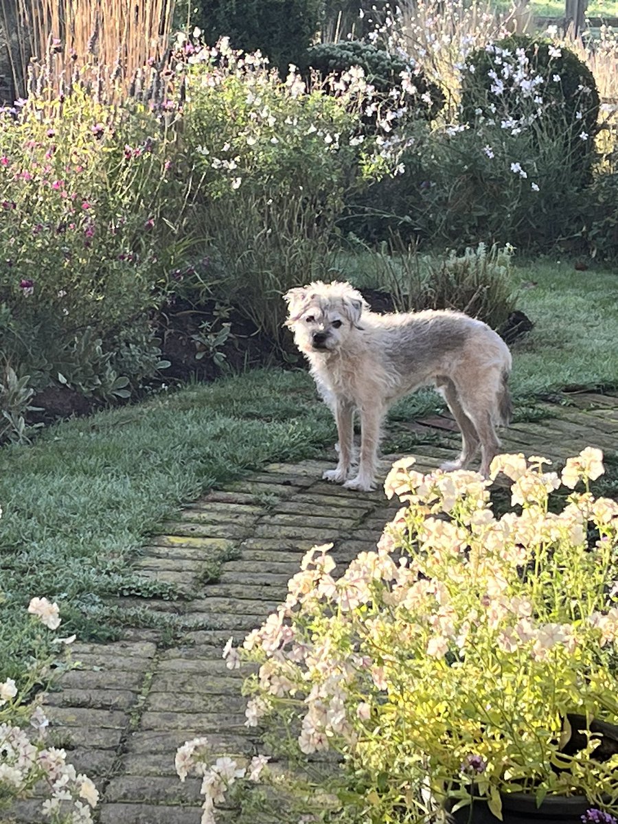 Lovely light this autumnal morning