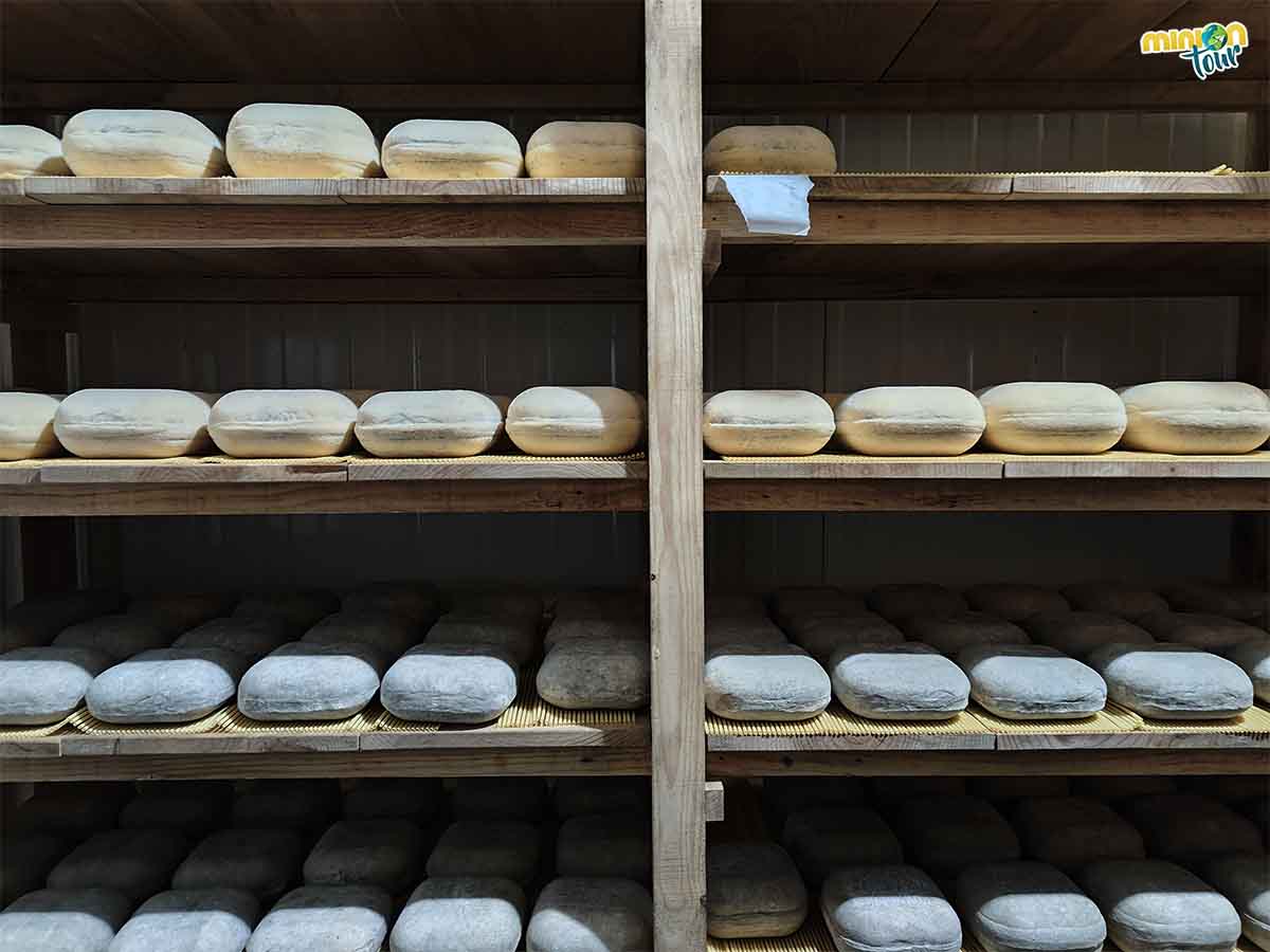 🆕 post!
Muy cerquita de #Allariz puedes visitar el #Ecoespacio de #ORexo. Verás la granja 🐑, su quesería artesanal 🧀, podrás hacer una cata y fliparás con el Bosque de #Ibarrola 🌳.
👉 bit.ly/EcoespacioORexo
@galiciatb <a href="/MadridTB/">Madrid TB</a> <a href="/SpainTravelB/">Spain Travel Bloggers</a> <a href="/ConcelloAllariz/">Concello de Allariz</a> <a href="/TurismoInorde/">Turismo Ourense Inorde</a>