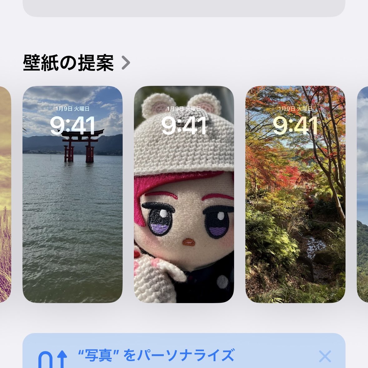 壁紙に提案されるちゃま(どアップ)🌹