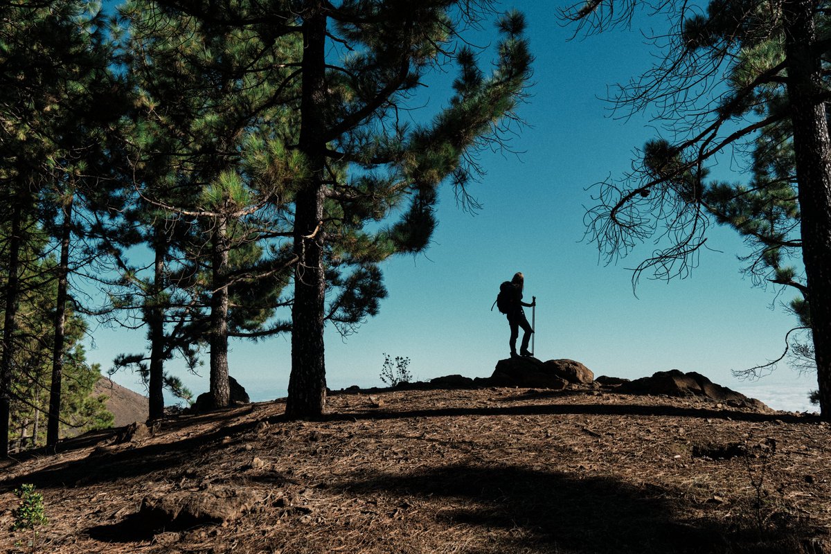 🚨 ¡Última llamada! 🚨

Es tu última oportunidad para inscribirte en el Gran Canaria Walking Festival: 4 rutas para sentir la naturaleza de #GranCanaria y sus mágicos senderos 🌄✨

¡Inscríbete ahora! 👉 bit.ly/4nOKCWe

#GCWF2025 #GCNaturalandActive #MuchoPorVivir
