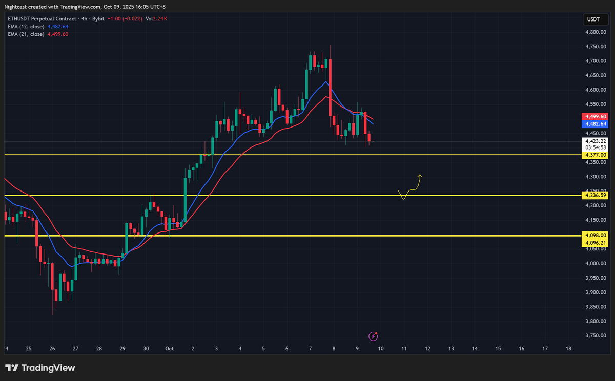 Night | Morph 🐨 tweet media