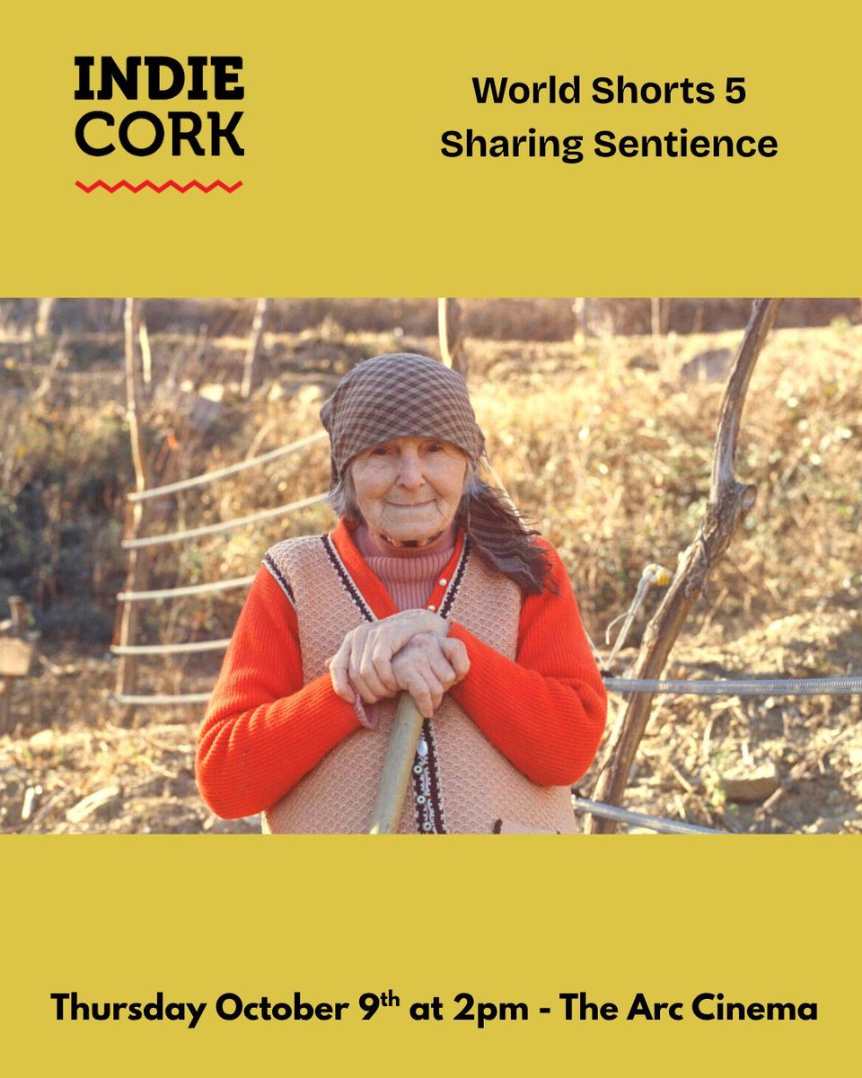 IndieCork Film Festival tweet media