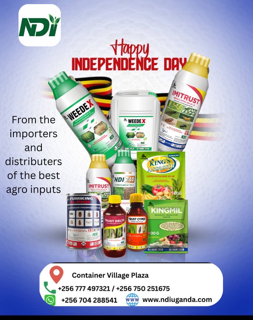 NMtwine's tweet photo. Happy independence day https://t.co/s67aacCDKn