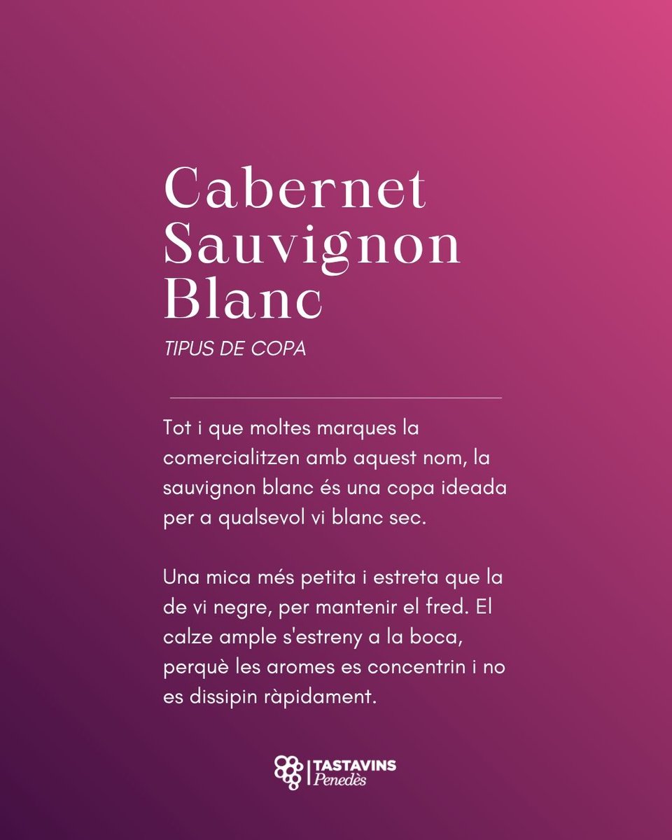 🗣 VOCABULARI DEL VI: Cabernet Sauvignon Blanc (n)

La sauvignon blanc és una copa ideada per a qualsevol vi blanc sec.

Una mica més petita i estreta que la de vi negre, per mantenir el fred. El calze ample s'estreny a la boca, perquè les aromes es concentrin.

#TastavinsPenedes
