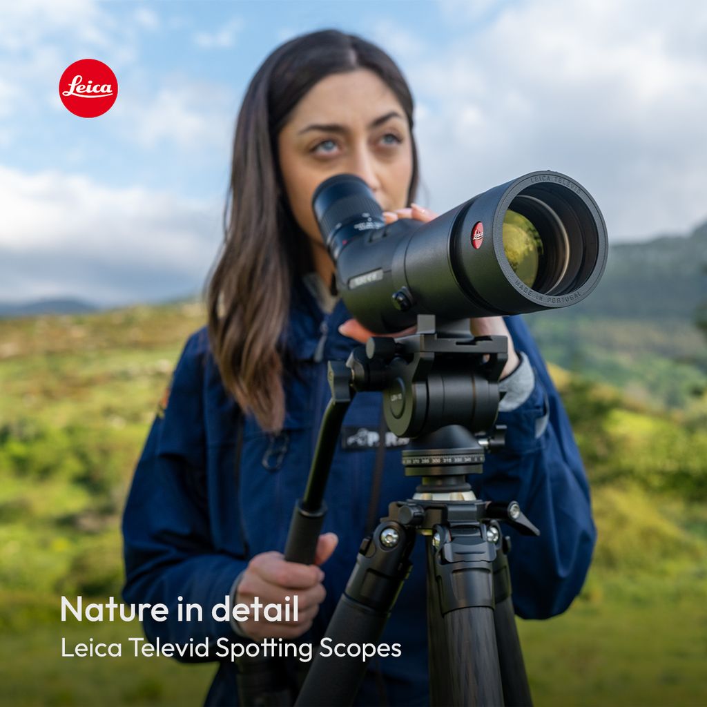 Ffordes Photography (@ffordesphoto) on Twitter photo 