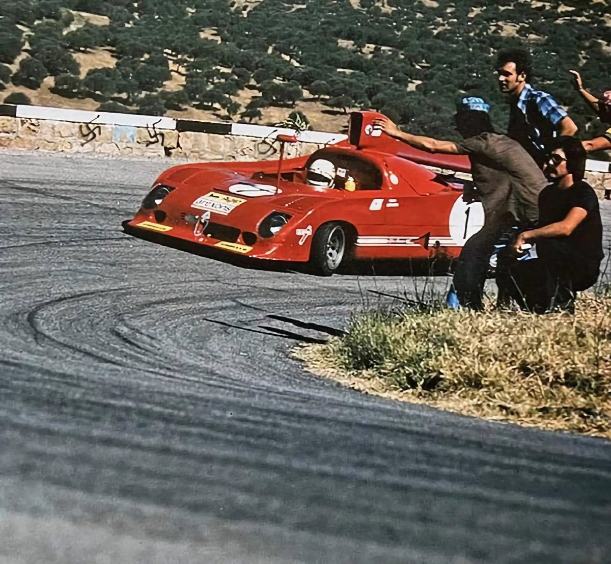 Conifera (@tjalo33) on Twitter photo 