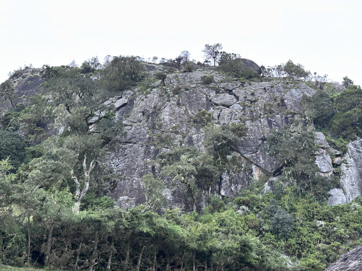 Ruto James tweet media