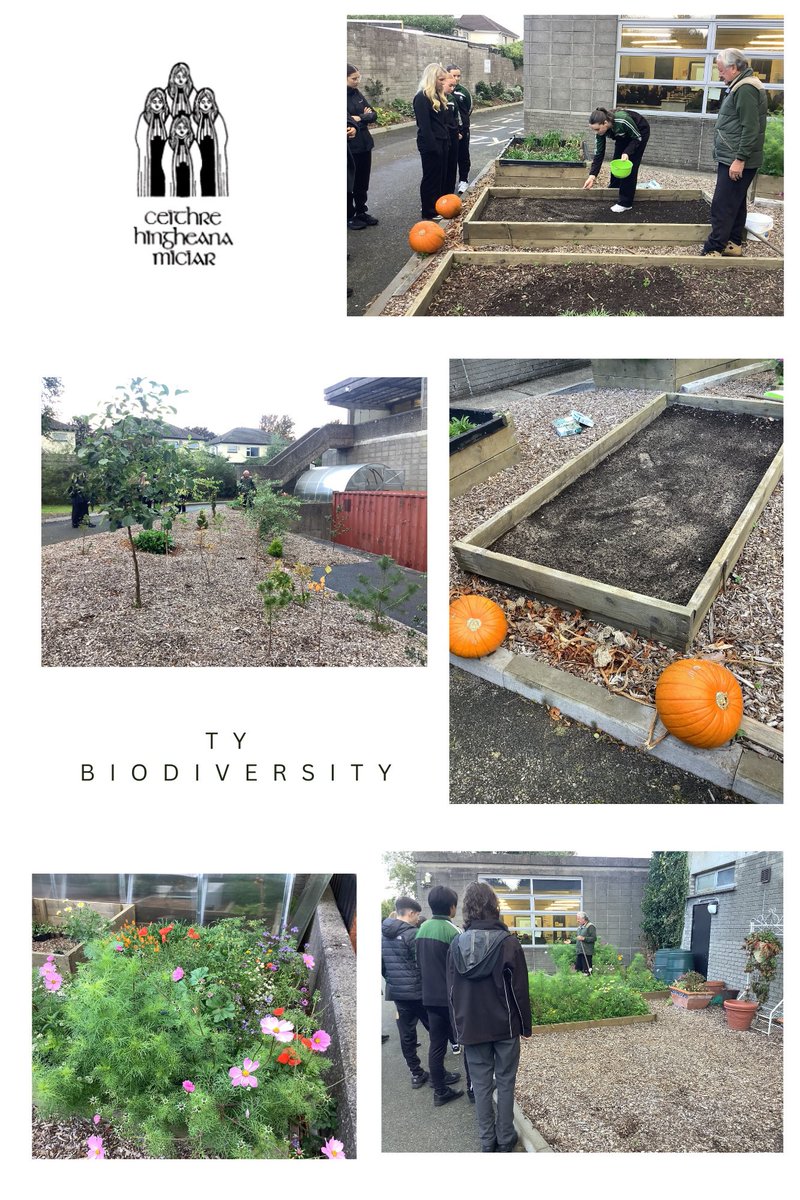 Firhouse_cc's tweet photo. 🌳💐Thanks to Joe for all his help maintaining the school grounds with Ms Kennedy’s TY Biodiversity class. Students will be sowing flowers, vegetables, fruit etc as well as litter picking. We’ll have updates on all their activities during the year

@ddletb #Teamddletb https://t.co/TZemyIcPQb