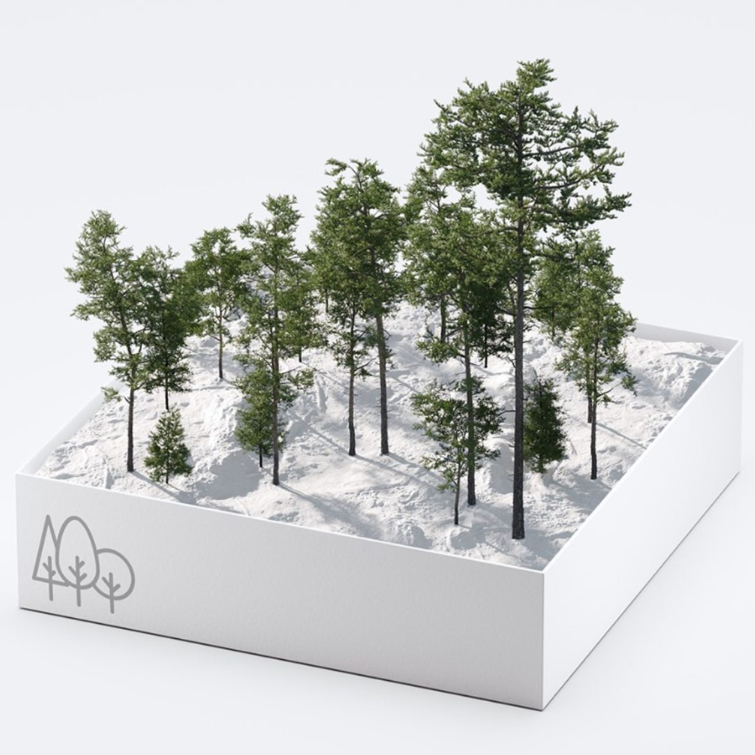 vwartclub's tweet image. *Making Of - @RebusFarm 
.
💚 bit.ly/47h9EHh
.
The Making of &apos;House In The Forest&apos; by Jaroslaw Piszczek
.
#rebusfarm #makingof #3dtutorial #usefultips #renderfarm #3dart #photorealism #rendering #visualization #archviz