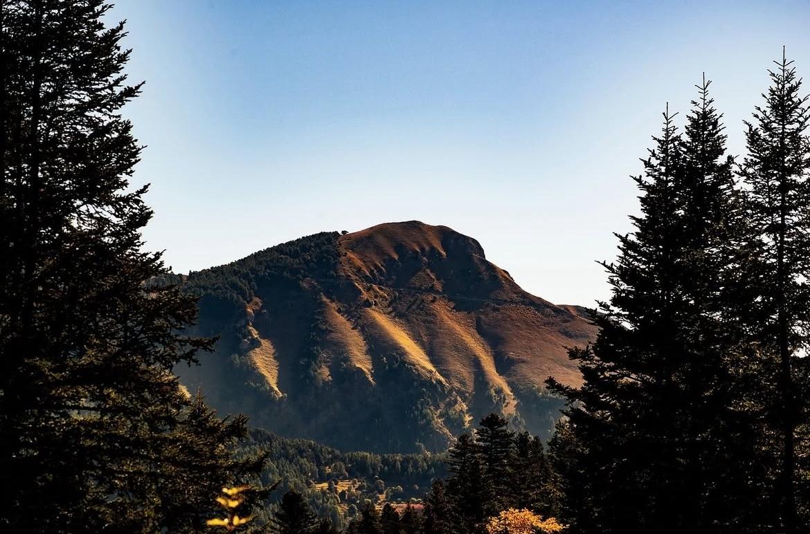 Partagez vos plus beaux clichés du Département avec #AlpesMaritimes

L’équipe du Département vous souhaite une belle journée ☀

📷 <a href="/jessica/">dark jessica</a>.jager.photography / Col de Turini

<a href="/VisitCotedazur/">Côte d'Azur France</a>