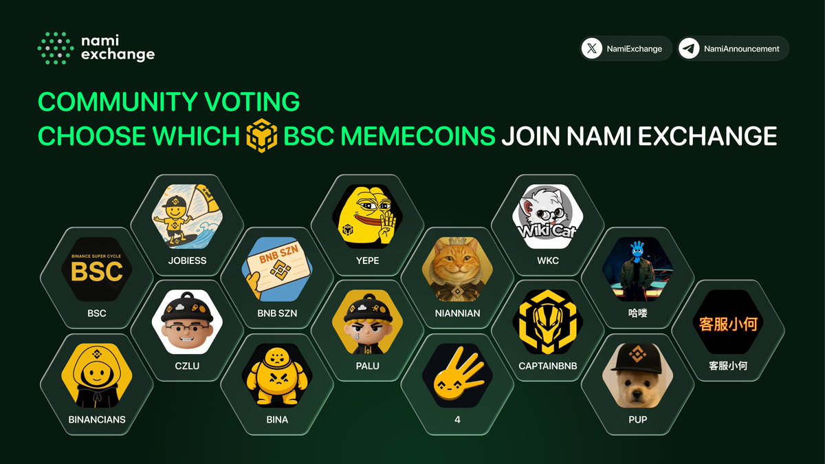 NamiExchange's tweet image. 🔥 COMMUNITY VOTING IS LIVE!

Nami Exchange is letting the community decide — which BSC Memecoins should join the next listing wave? 🚀

Here are the contenders catching attention on @BNBCHAIN 👇
• #哈喽 — @Halou_cto 
• $CZLU — @czluonbsc
• $WKC — @Wikicatcoin
• $CAPTAINBNB —…