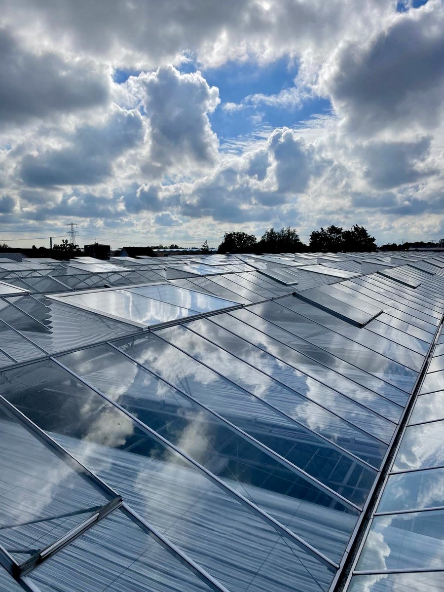 Van herfstmist tot Hollandse wolkenlucht, het insectengaas bij kwekerij Guus van Leeuwen ziet er onder alle omstandigheden top uit! 🤩 We hebben hier 1.207 luchtramen voorzien van op maat gemaakte #insectengaascassettes, welke zijn gemonteerd door Westland Gaas Montage 🙌