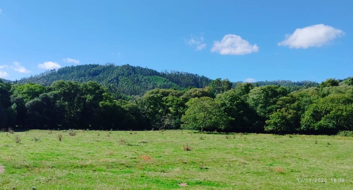 📸 III Concurso de fotos das #OlimpíadasRurais de #Couzadoiro🍃
 🌽🌽

😀 Imaxes de Gloria Pedre Galdo