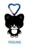 maeechizen_ys24's tweet image. Yesung's SS10 JP MD looks like Coco 🐈‍⬛