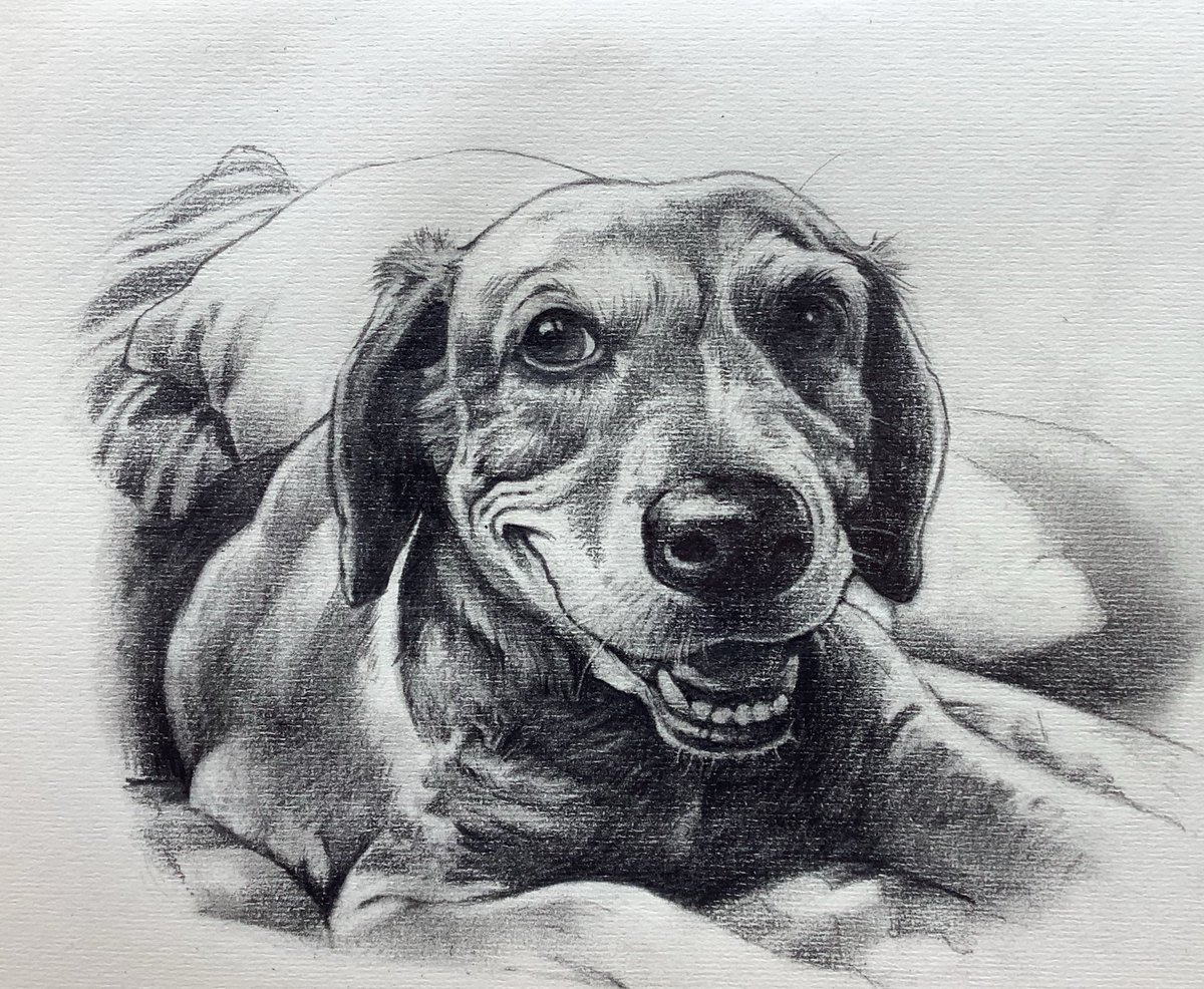 Steve Smallman tweet media