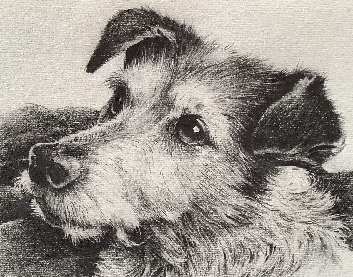 Steve Smallman tweet media