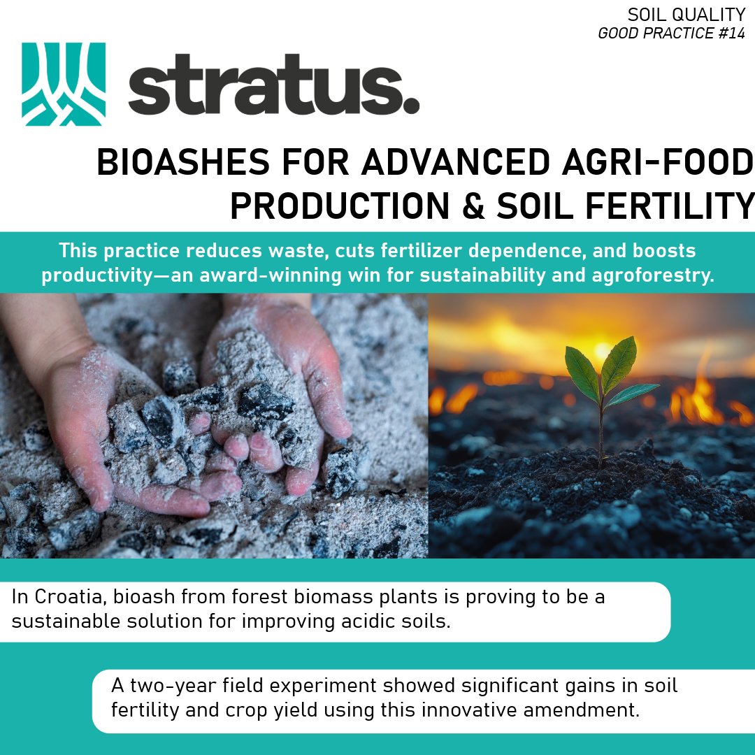 STRATUS is sharing the knowledge collected accross Eurpe to promote a more sustainable way to use fertilizers building a better future for agriculture.

👇Learn more here 👇
stratusproject.eu/wp-content/upl…