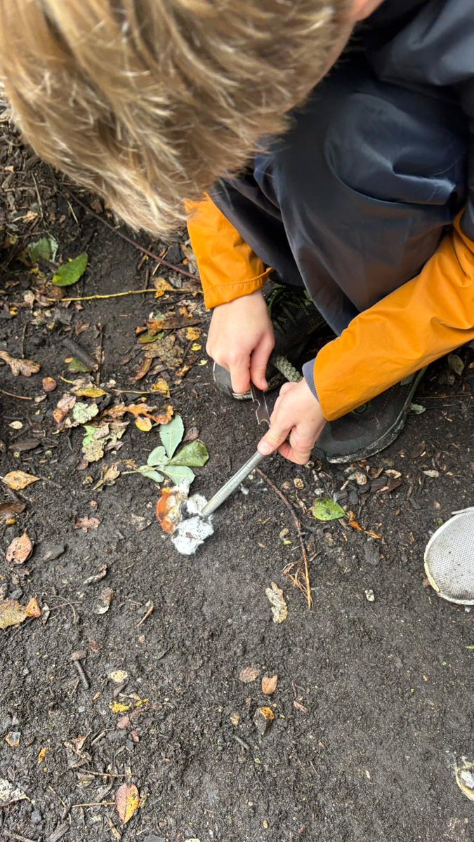 Yesterday, our Year 6 pupils had a great day on their residential trip, taking part in exciting activities such as axe throwing and developing their survival skills.
