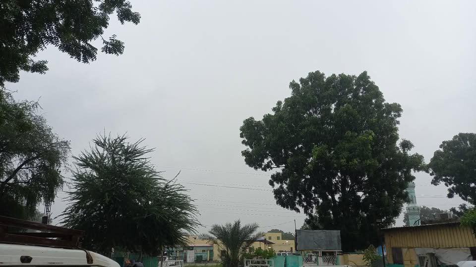 الدمازين والرصيرص..🌹
و أجواء الامطار وين وصلتكم وخير وبركة .