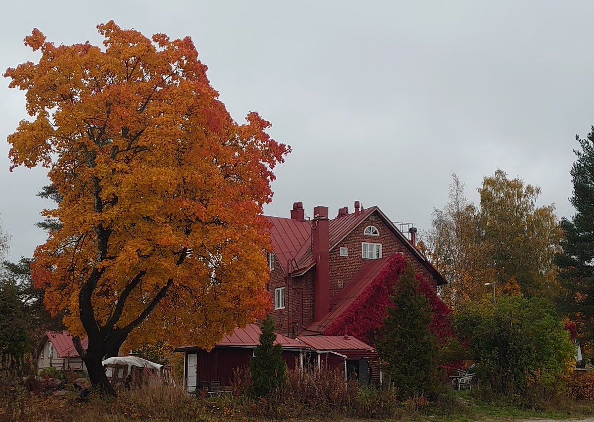 Kurttilan pizzeria ( edvinpizza.fi ) syysasussa. Länsi-Espoo, urbaani pk-seutu.