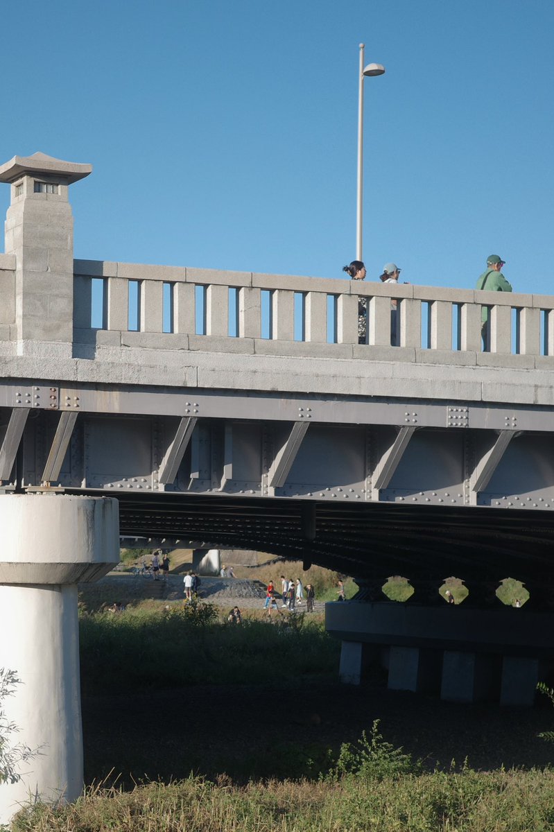 やっぱりいいな京都、、久々に鴨川散歩したけど、みんな自由で楽しそう。
おしゃべりする人、ギターを弾く人、台車で洋式トイレを運ぶ人、本を読む人、提灯を持って踊る大学生、ベンチに座っている人のスレスレを歩く秋田犬、たわしを散歩させるおじさん、
やっぱ京都に住むか〜