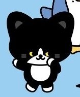 maeechizen_ys24's tweet image. That's really Coco!!! 🐈‍⬛