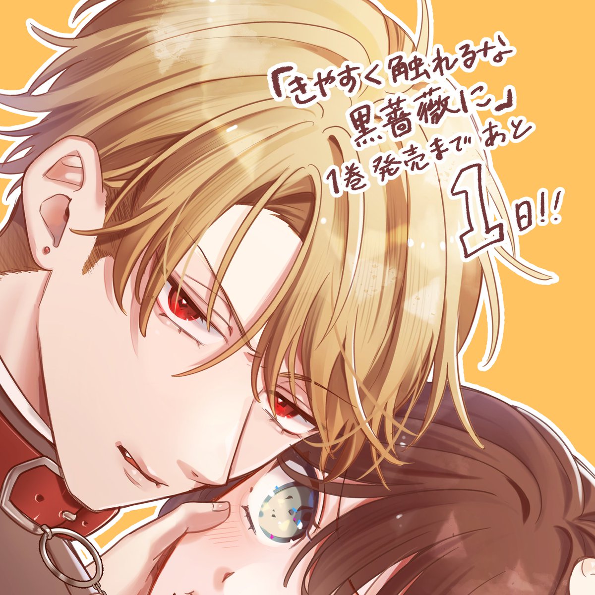 きやすく触れるな黒薔薇に