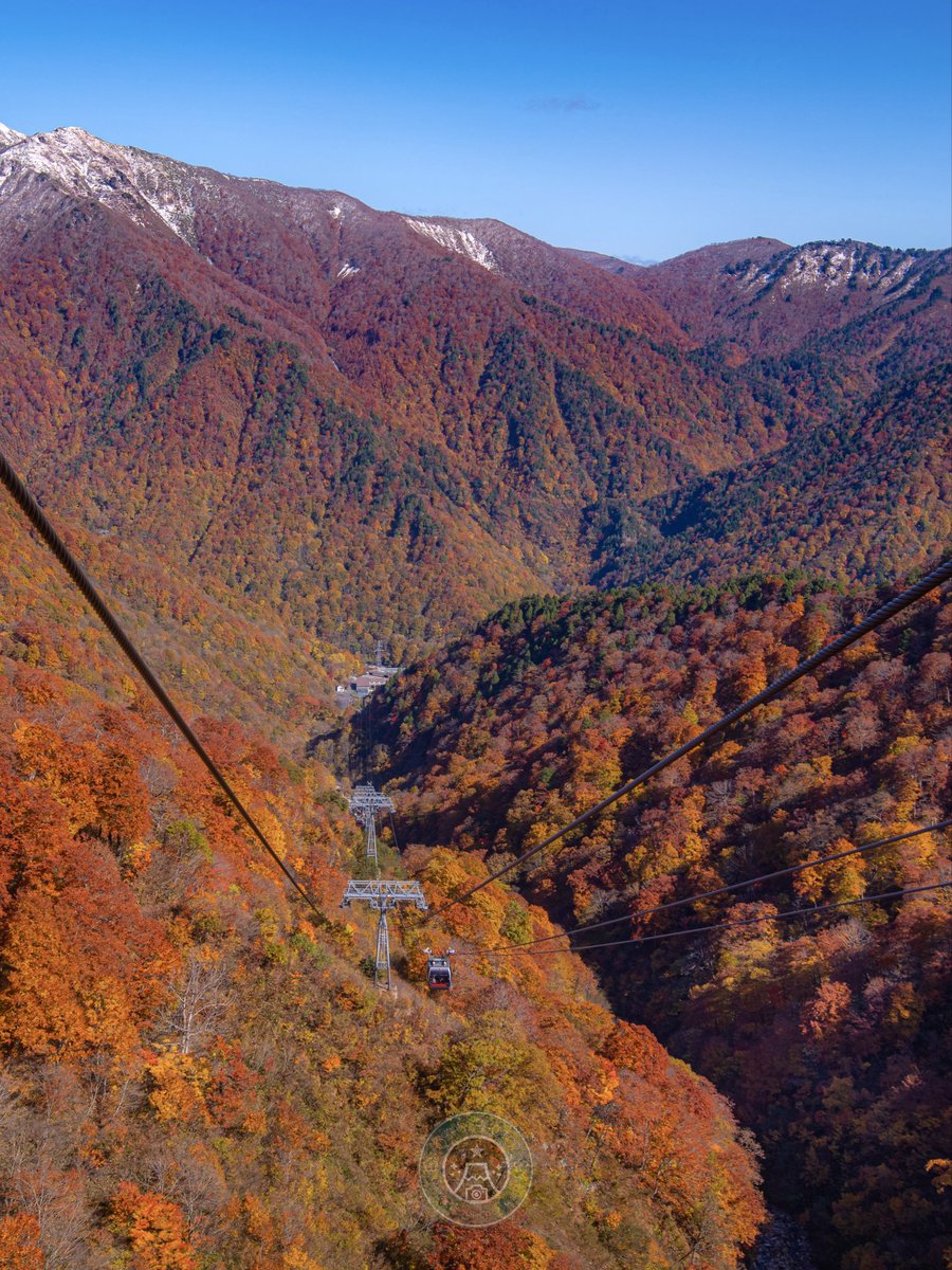 𝓱𝓪𝔂𝓪 🖼🦋🌽 (@swim460khj) / Posts / X