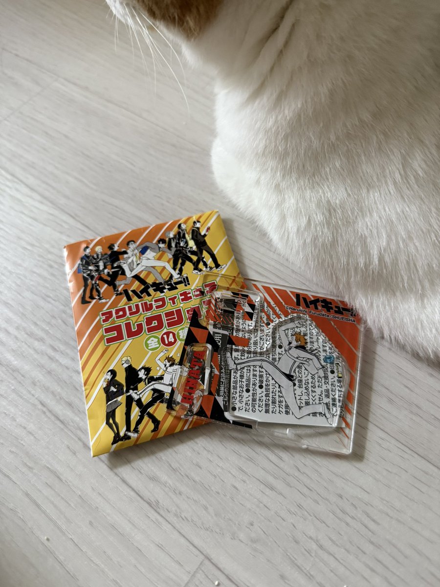 치파🍊 tweet media