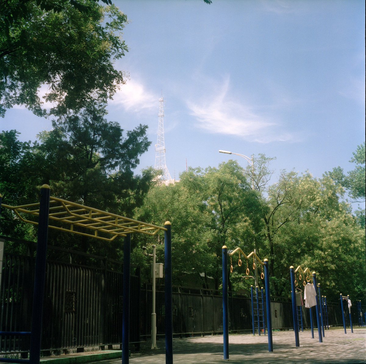 xx11nn6's tweet photo. 📸: Rolleiflex 2.8C
🎞️: Fuji Pro400H  (exp 12/2015) https://t.co/q7FaFpP6Pp