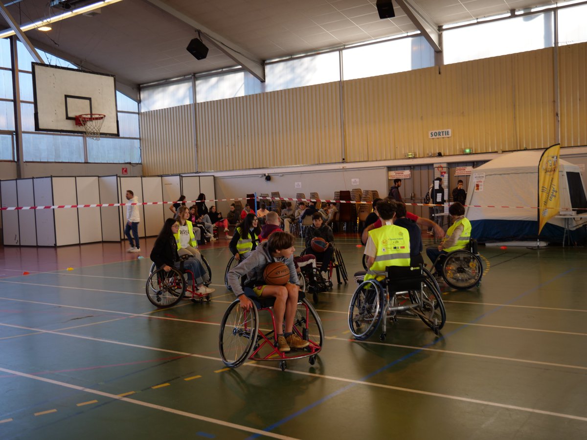 Communauté de Communes Couserans-Pyrénées tweet media