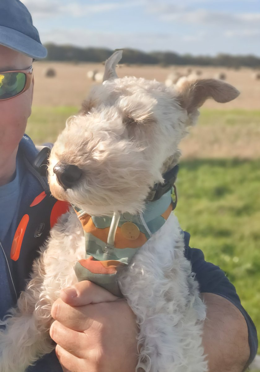 rmpk & Flora the Foxie 💚🇺🇦 tweet media