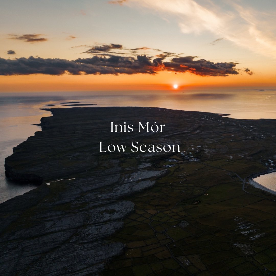 DiveAran tweet media